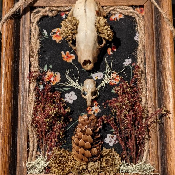 Hello! Welcome to my weird closet! - Picture 14 of 16